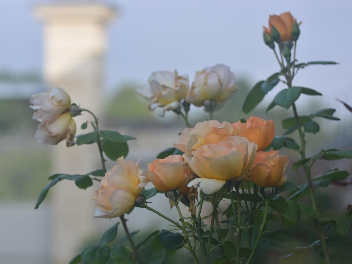 La Penesais Villa Beaumont-en-Véron Eksteriør bilde